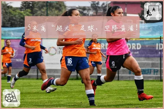 5米高“超大”足球,空降黄浦!