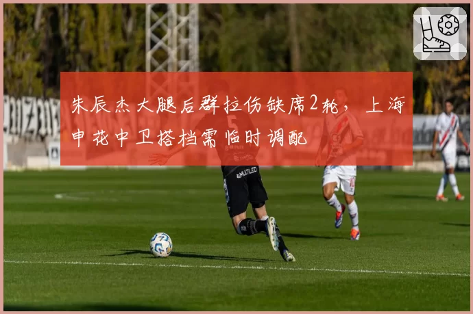 朱辰杰大腿后群拉伤缺席2轮，上海申花中卫搭档需临时调配
